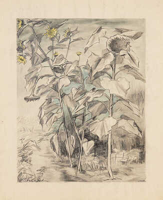 Чеботарёв Константин Константинович. Три подсолнуха